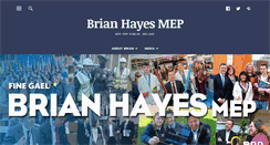 Desktop Screenshot of brianhayes.ie